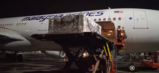 Remdesivir sẽ được đưa vào điều trị cho những bệnh nhân COVID-19 trong thời gian sớm nhất. Khi truyền, không truyền Remdesirvir cùng lúc với các thuốc khác. Thuốc Remdesivir chống chỉ định với những bệnh nhân quá mẫn với bất kỳ thành phần của thuốc; suy thận eGFR < 30mL/phút; tăng enzyme gan ALT > 5 lần giá trị giới hạn trên; suy đa tạng nặng. Đối với nhóm phụ nữ có thai và cho con bú nên thận trọng khi sử dụng.