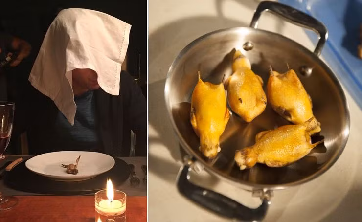 Theo tìm hiểu, vàp năm 2007, chính phủ Pháp ban hành lệnh cấm săn bắt với mức phạt tối đa 6.000 Euro (khoảng 150 triệu đồng) để bảo vệ loài chim này. Việc giết và chế biến chim họa mi cũng bị cấm trên khắp châu Âu.