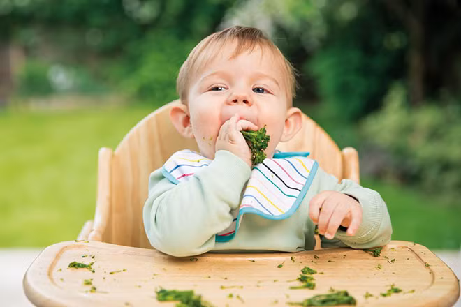 Các nhà nghiên cứu tin rằng sulforaphane có thể sửa chữa các tế bào của bệnh nhân tự kỷ, chẳng hạn như sửa chữa tổn thương DNA và ngăn ngừa các vấn đề khác.