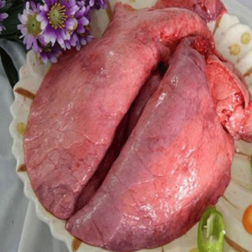 Phổi lợn cũng chứa rất nhiều vi khuẩn và vi rút, vì cũng giống như phổi của con người chúng ta, phổi lợn là cơ quan hô hấp và dùng để lọc không khí.