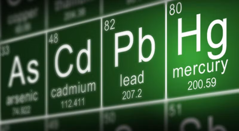 3 loai thuc pham quen thuoc nhung gay suy gan than, hai nao-Hinh-2