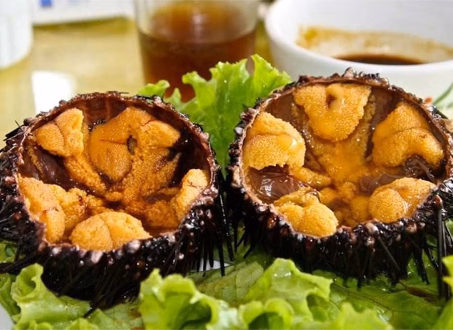 Đáng nói, theo nghiên cứu khoa học, thịt nhum biển khá ít so với khối lượng vỏ của chúng nhưng lại cung cấp lượng protein (chất đạm) rất dồi dào. Đồng thời, thịt nhum biển cũng chứa nhiều chất kẽm có lợi cho cơ thể.