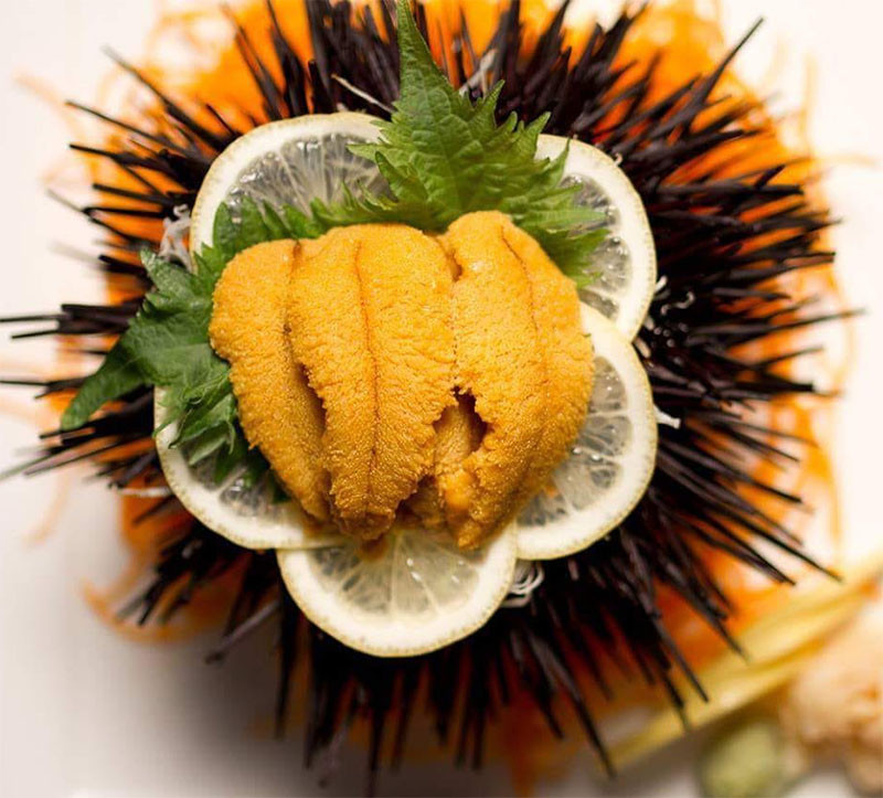 Theo y học cổ truyền, thịt nhum biển có vị mặn, tính ấm, tác dụng bổ thận ích tinh, dưỡng khí huyết, ích tỳ thận... dùng trị chứng hư nhược, tinh huyết hao tổn, tỳ thận hư, ăn kém, sinh lý yếu và các chứng liên quan khí huyết hư. Chính vì vậy, đây được xem như thần dược quý ông.