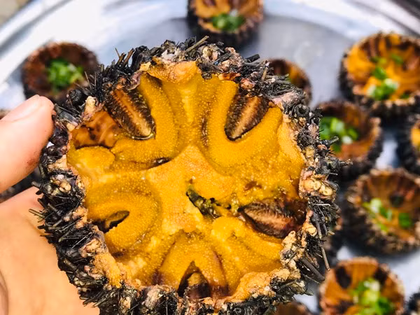 Trong nhum biển cũng chứa nhiều vitamin A, C, E, canxi và I ốt cho cơ thể, giúp tăng cường thị lực, tăng khả năng miễn dịch, thúc đẩy hấp thụ canxi, ngăn cản quá trình lão hóa và phòng tránh một số bệnh ung thư.