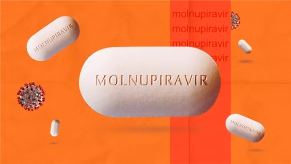 Nghiên cứu thử nghiệm lâm sàng tại Mỹ, Ấn Độ cho kết quả khả quan về tính an toàn, khả năng dung nạp, đặc biệt giảm tải lượng virus rõ rệt ở bệnh nhân thể nhẹ và vừa sau 5 ngày dùng Molnupiravir, góp phần giảm lây nhiễm trong cộng đồng, giảm tỉ lệ nhập viện, giảm tử vong.