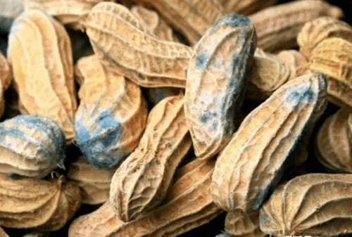 Hai me con bi ung thu gan chi vi bo thu nay vao chao-Hinh-3