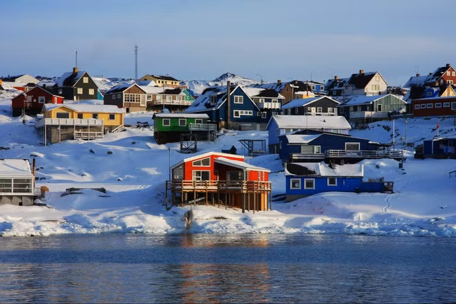 Vào mùa đông, khi thời tiết quá lạnh và không thể đi săn, người ta sẽ đào những con hải cẩu nhét đầy xác chim lên để ăn.