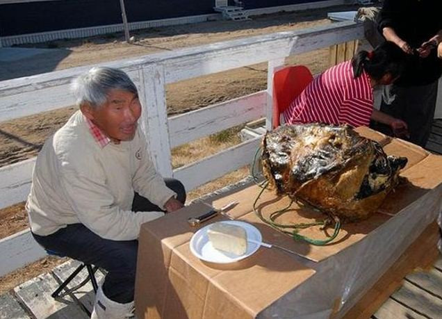 Mỗi quốc gia lại có những đặc trưng văn hóa khác nhau, trong đó đặc trưng về ẩm thực luôn khiến các du khách bị thu hút. Tại Greenland có một món ăn kinh dị được coi là đặc sản truyền thống - đó là món Kiviaq.