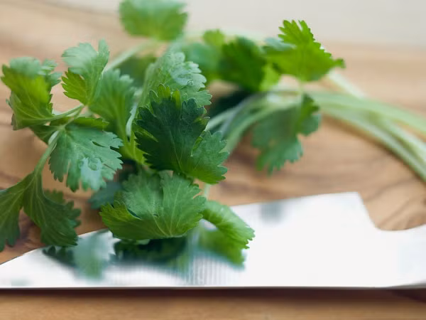 Mới đây, các chuyên gia dinh dưỡng đã chỉ ra 5 lợi ích chính của rau mùi, không chỉ thúc đẩy tiêu hóa mà còn giúp tim mạch khỏe mạnh và ngăn ngừa nhiễm trùng.