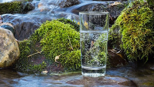 3 loại thực phẩm quen thuộc nhưng gây suy gan thận, hại não - Hình 4 3 loai thuc pham quen thuoc nhung gay suy gan than, hai nao-Hinh-4