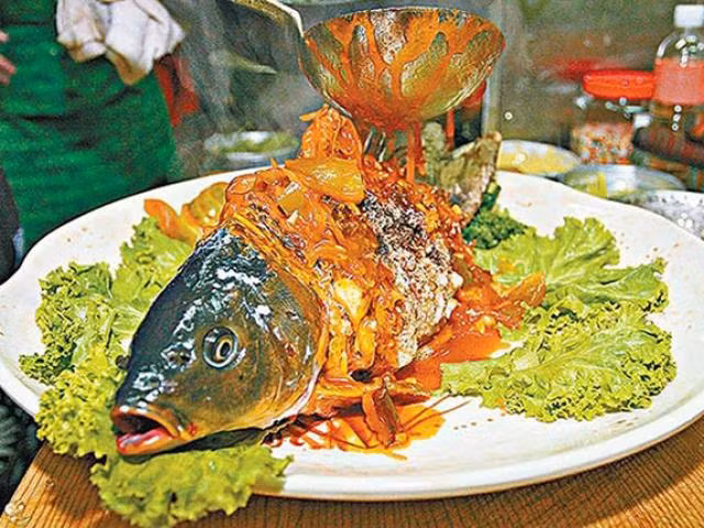 Cụ thể, để món này đạt chuẩn, đầu bếp nhất định phải khiến thân cá đã chín, thơm ngon vô cùng nhưng mang cá vẫn còn hoạt động, con cá vẫn cố thở và miệng liên tục ngáp.