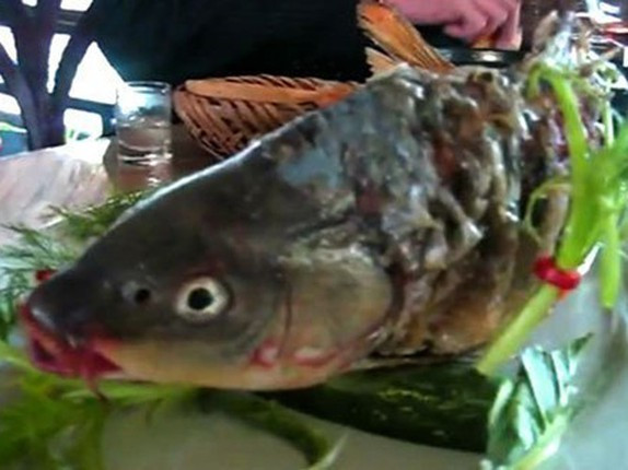 Theo tìm hiểu, món cá âm dương này chủ yếu sử dụng cá chép trưởng thành và rất tươi. Sau khi được sơ chế, loại bỏ phần ruột, mật một cách cực nhanh, cá phải được rán vàng phần thân và tươi nguyên phần đầu.