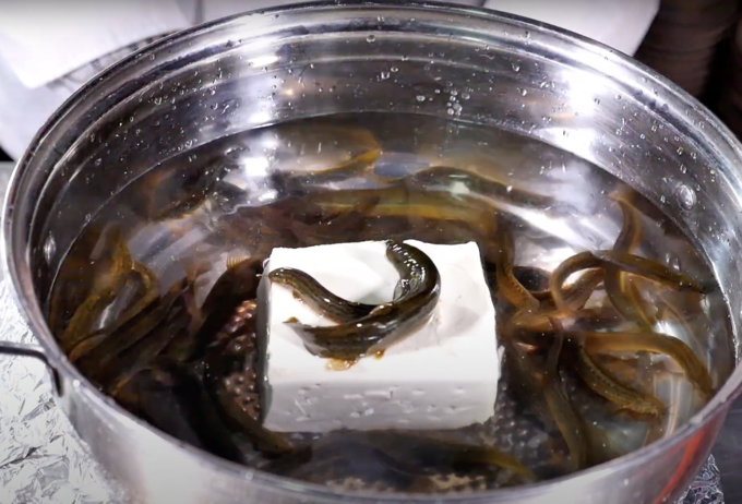 Hiện tại, do vấp phải nhiều phản ứng dữ dội, món ăn tàn bạo này không được phục vụ trong hầu hết các nhà hàng Nhật Bản, tuy nhiên, chúng vẫn xuất hiện trong bữa ăn của người dân xứ sở hoa anh đào.