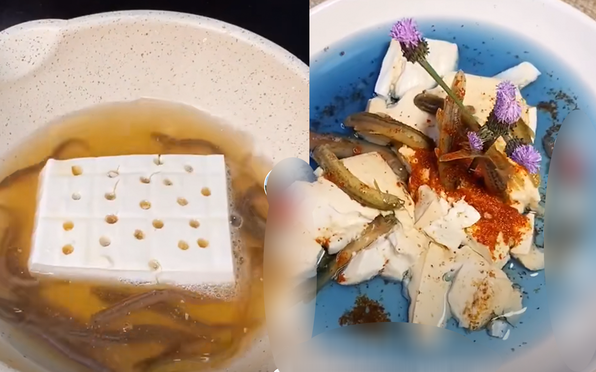 Thế nhưng những con cá chạch không ngờ, đậu phụ chính là địa ngục thứ hai của chúng. Khi nước sôi, cả đậu phụ và cá chạch sẽ cùng chín. Như vậy, không chỉ mắc kẹt trong đậu phụ, chúng còn phải chịu đựng cái chết từ từ, tàn nhẫn.