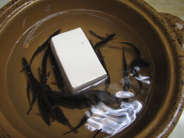 Khi nước nóng dần lên làm cá chạch hoảng loạn, đầu bếp sẽ thả đậu phụ mát lạnh vào. Để trốn khỏi cái nóng thiêu đốt, cá chạch sẽ cố chui vào đậu phụ.