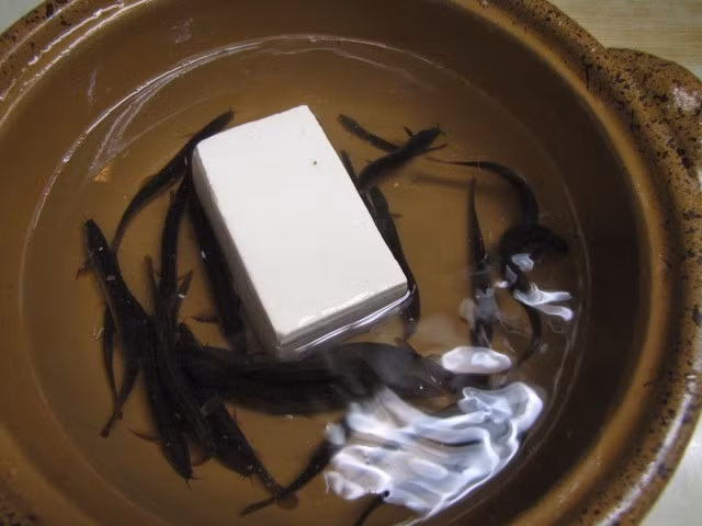 Khi nước nóng dần lên làm cá chạch hoảng loạn, đầu bếp sẽ thả đậu phụ mát lạnh vào. Để trốn khỏi cái nóng thiêu đốt, cá chạch sẽ cố chui vào đậu phụ.