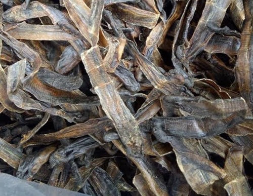 Về vấn đề địa long có chữa khỏi COVID-19 hay không, Đại tá Lương Y Bùi Hồng Minh, Phó Chủ tịch Hội Đồng y Ba Đình, Hà Nội cho biết, COVID-19 là bệnh do virus và tự diễn biến, hiện nay, vẫn chưa có loại thuốc Đông y, thuốc Nam nào chứng minh có tác dụng điều trị khỏi COVID-19.