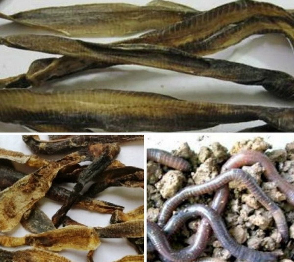 Tối 15/8, Angela Phương Trinh đăng trên Faccebook cá nhân bài viết về cách chữa trị COVID-19 bằng phương thức dân gian. Nội dung của bài viết cho rằng địa long có tác dụng hữu ích để phòng và điều trị các bệnh lý do COVID-19 đồng thời giúp chữa luôn cả các bệnh nền đã có từ lâu của người nhiễm COVID-19.