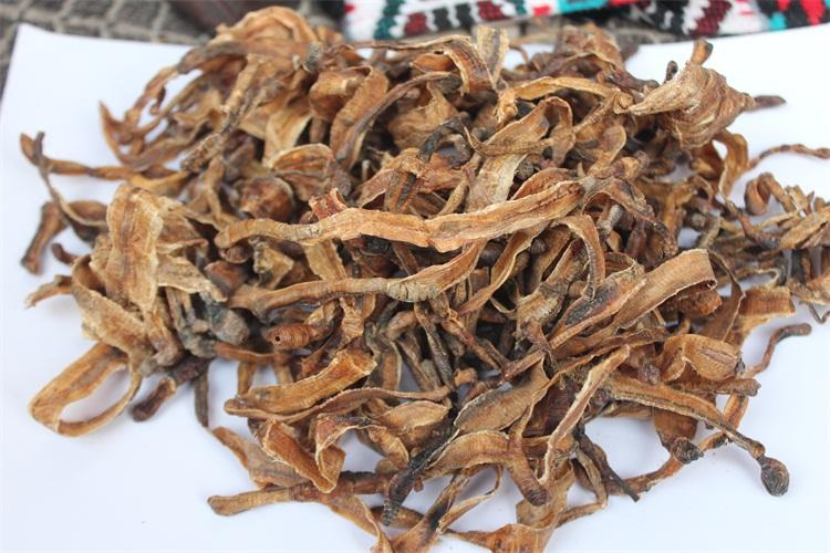 Bên cạnh đó, cũng lưu ý người dân không nên tin theo các quảng cáo thổi phồng tác dụng của địa long để rồi tiền mất tật mang. Đối với những bệnh nhân mắc COVID-19 điều trị tại nhà, phải tuân thủ các hướng dẫn chi tiết của nhân viên y tế.