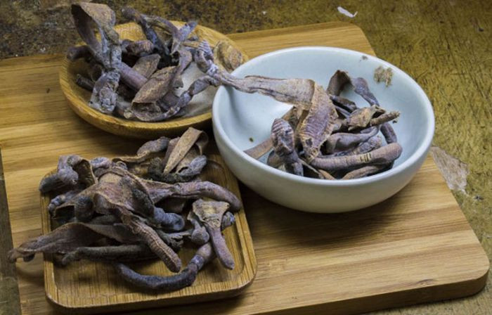 Trong y học cổ truyền, địa long vị mặn, tính hàn, có tác dụng thanh nhiệt bình can trấn kinh, thông mạch khu phong, trừ thấp, lợi thủy, hạ sốt.