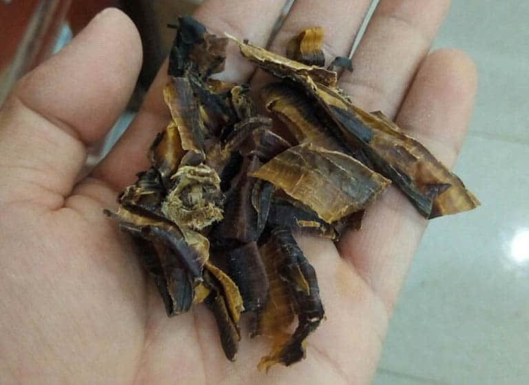 Hoạt chất Lumbritin trong địa long có tác dụng phá huyết. Bên cạnh đó, địa long cũng có thể chống co giật, kháng histamine, làm giãn mạch nội tạng và hạ áp chậm nhưng lâu dài, giúp làm giãn phế quản và hạ cơn hen cấp, an thần, hạ thân nhiệt.