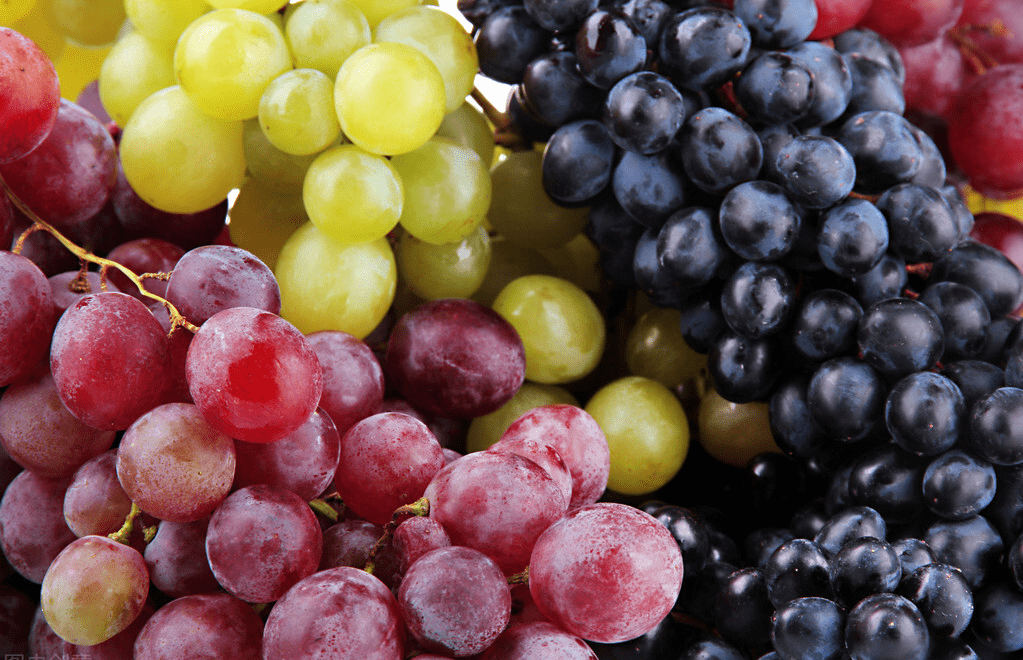Mùa hè, ngoài dưa hấu, dưa gang thì quả nho là một trong những loại trái cây được ưa thích nhất. Nho có vị chua ngọt, thơm ngon, bổ dưỡng lại chứa nhiều khoáng chất quan trọng như canxi, kali, phốt pho, sắt cũng như nhiều loại vitamin, axit trái cây và axit amin.