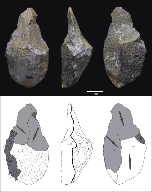 Kỹ thuật Acheulean có thể xuất phát từ châu Phi, lan sang châu Âu nhờ các làn sóng di cư và giao lưu văn hóa. (Ảnh: ScienceDirect)