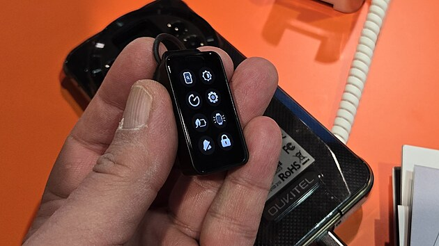 WP200 Pro có màn hình AMOLED 6,7 inch và camera chính 108MP.(Ảnh: iDNES.cz)