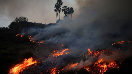 Tuy nhiên, không phải lúc nào AI cũng hoạt động hoàn hảo. Trong vụ cháy rừng tại Los Angeles, góp phần bởi gió mạnh và thời tiết khô hạn, hơn 8.000 hecta rừng đã bị thiêu rụi và 9.000 ngôi nhà bị phá hủy. Các chuyên gia nhận định rằng trong những điều kiện khắc nghiệt, AI chưa thể theo kịp tốc độ lan nhanh của lửa. (Ảnh:Hindustan Times)