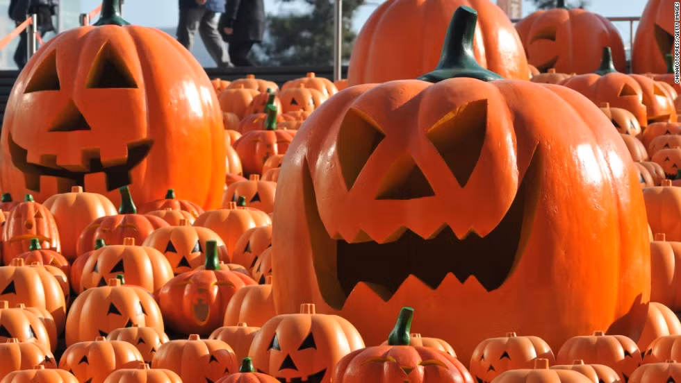 Theo ước tính, chi phí làm một chiếc đèn bí ngô trang trí trong ngày Halloween ở Mỹ là khoảng 5 USD.