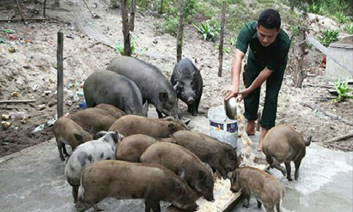 Viet ve Robinson Thuong uy Le Quy Loc tren dao Co To-Hinh-3