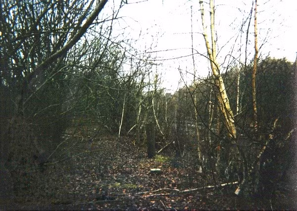 Thậm chí, có người cho hay đã nhìn thấy ma quỷ tại Dudleytown hay truyền nhau lời đồn thị trấn này bị nguyền rủa. Khi người dân địa phương không thể được nữa, Dudleytown bị đóng cửa và trở thành địa điểm ma ám đáng sợ.