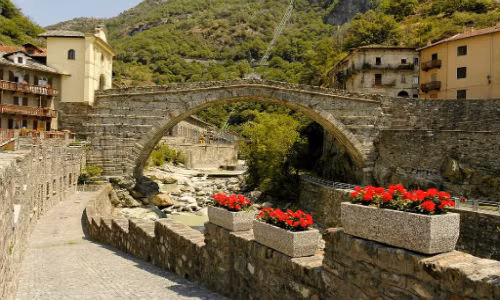 Tai sao mot so cay cau co xua va nay lai cong?