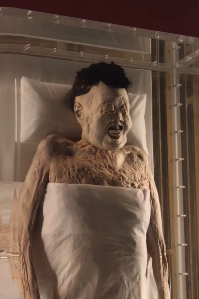 Cơ thể của bà được bảo quản vẹn nguyên đến mức làn da vẫn mềm, chân tay vẫn có thể cử động, tóc và cơ quan nội tạng vẫn còn nguyên. Thậm chí, bữa ăn cuối cùng trong dạ dày bà Dai còn nguyên vẹn và máu ở trong các tĩnh mạch vẫn giữ được màu đỏ.