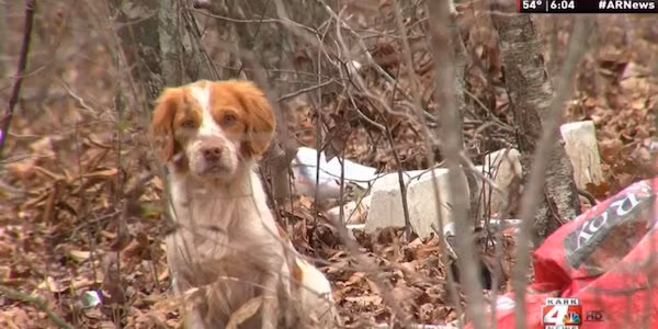 Lanh nguoi nhung cai chet am anh con nguoi-Hinh-3