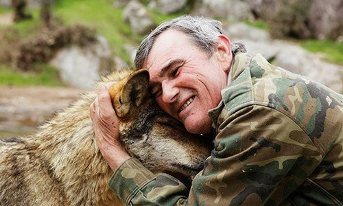 Rot nuoc mat nhung dua tre duoc thu hoang nuoi lon