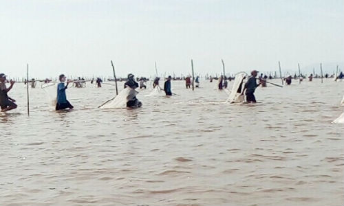 2.000 nguoi xong vao HTX cuop ngheu giong o Ca Mau