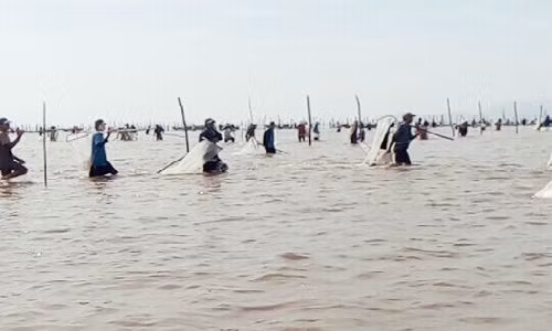 2.000 nguoi xong vao HTX cuop ngheu giong o Ca Mau