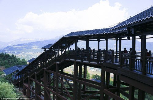 Hệ thống thang máy này chủ yếu được xây dựng từ vật liệu thân thiện với môi trường và cây xanh được trồng hai bên công trình.