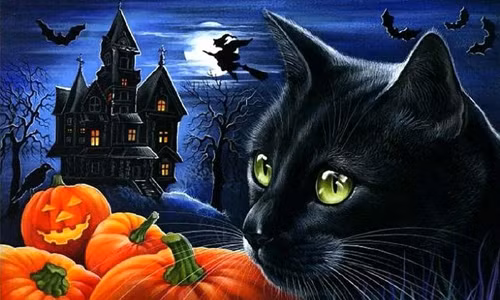 Những biểu tượng nổi bật của Halloween như mèo đen, nhện và dơi thường đi liền với nhau bởi chúng được cho là có mối liên quan mật thiết với phù thủy và những điều kém may mắn, xui xẻo.