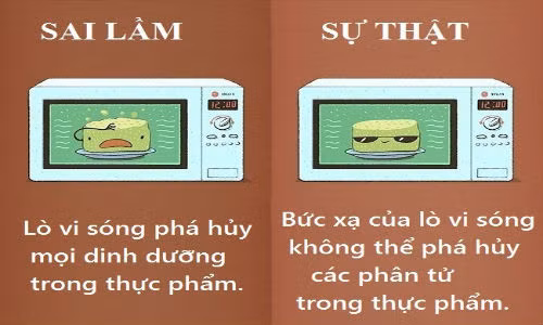 Các nhà nghiên cứu tại Đại học Harvard (Mỹ) tin rằng lò vi sóng giúp bảo tồn các yếu tố dinh dưỡng trong thức ăn. Nó làm nóng thức ăn nhanh chóng, đồng nghĩa với việc vitamin C và nhiều thành phần hữu ích khác không có thời gian để phá hủy.
