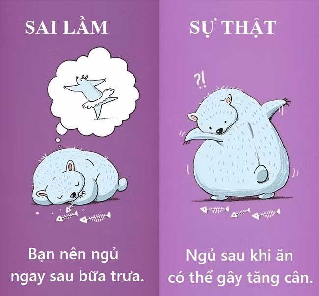 Ngủ ngay sau khi ăn trưa có thể khiến cơ thể bắt đầu dự trữ calo thay vì đốt cháy chúng. Điều đó có thể khiến bạn tăng cân. Nếu bạn muốn có giấc ngủ ngắn sau ăn, trước tiên hãy đi bộ khoảng 20 phút để đốt cháy đủ lượng calo vừa tiêu thụ.