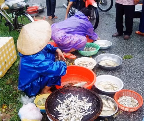 Ngu dan trang dem buong luoi muu sinh mac lu ve-Hinh-2