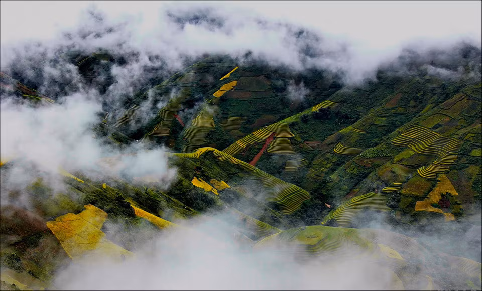 Tại xã Lao Chải (Yên Bái), những áng mây bồng bềnh trôi trên ruộng bậc thang như điểm tô vào bức tranh ngày mùa. Mỗi năm vùng Tây Bắc chỉ trồng một vụ lúa, nhưng gieo vào thời điểm khác nhau giữa các địa phương nên lúa chín không đều. Mùa lúa chín là một đề tài rất phổ biến trong số các bộ ảnh độc giả gửi đến cuộc thi "Dấu ấn Việt Nam". Ảnh: Lê Thanh Từ.