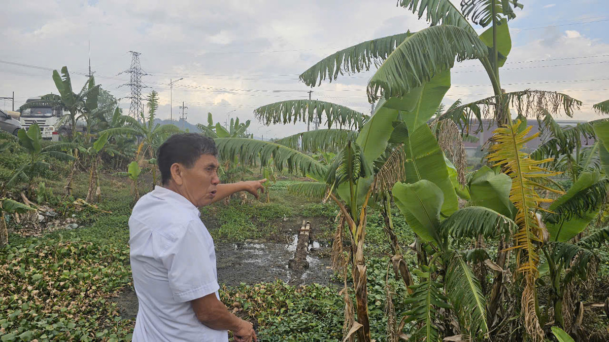 Hai Duong: Cum Cong nghiep Phu Thu xa thai… o nhiem bua vay khu dan cu-Hinh-3