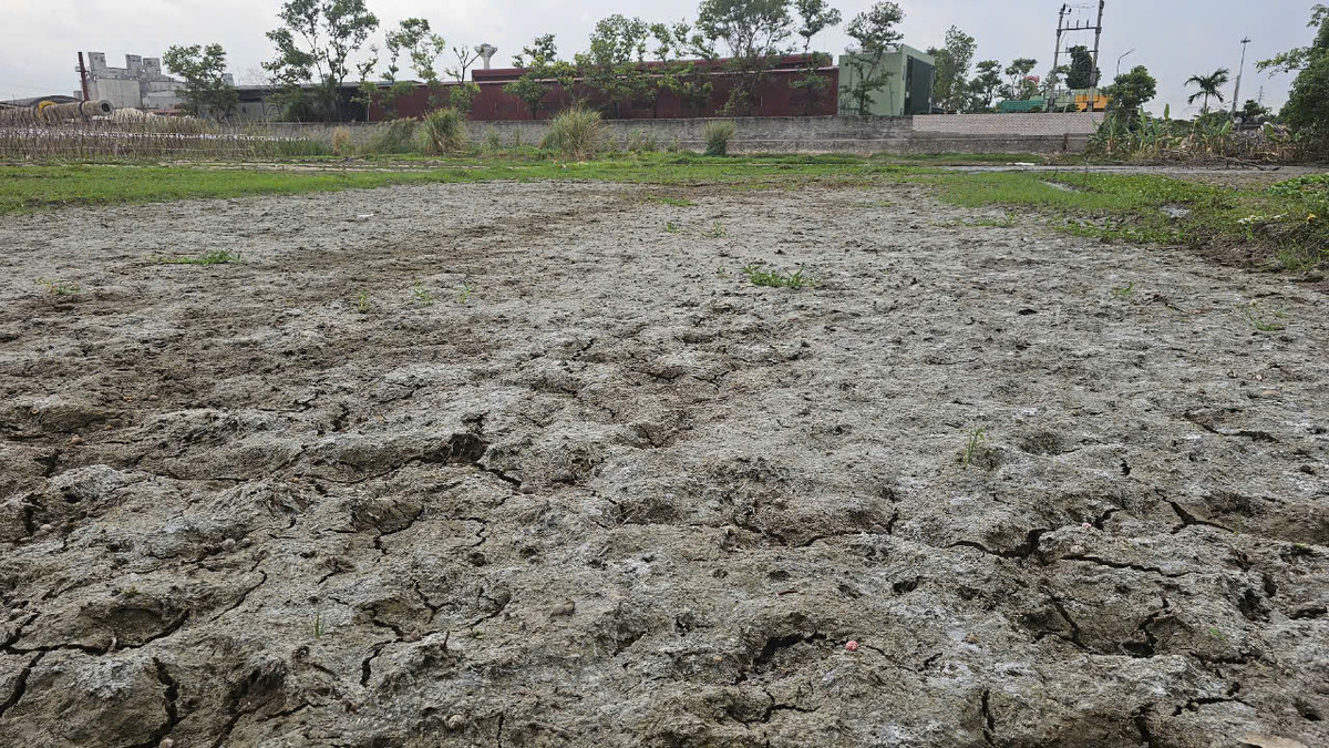 Hai Duong: Cum Cong nghiep Phu Thu xa thai… o nhiem bua vay khu dan cu-Hinh-4