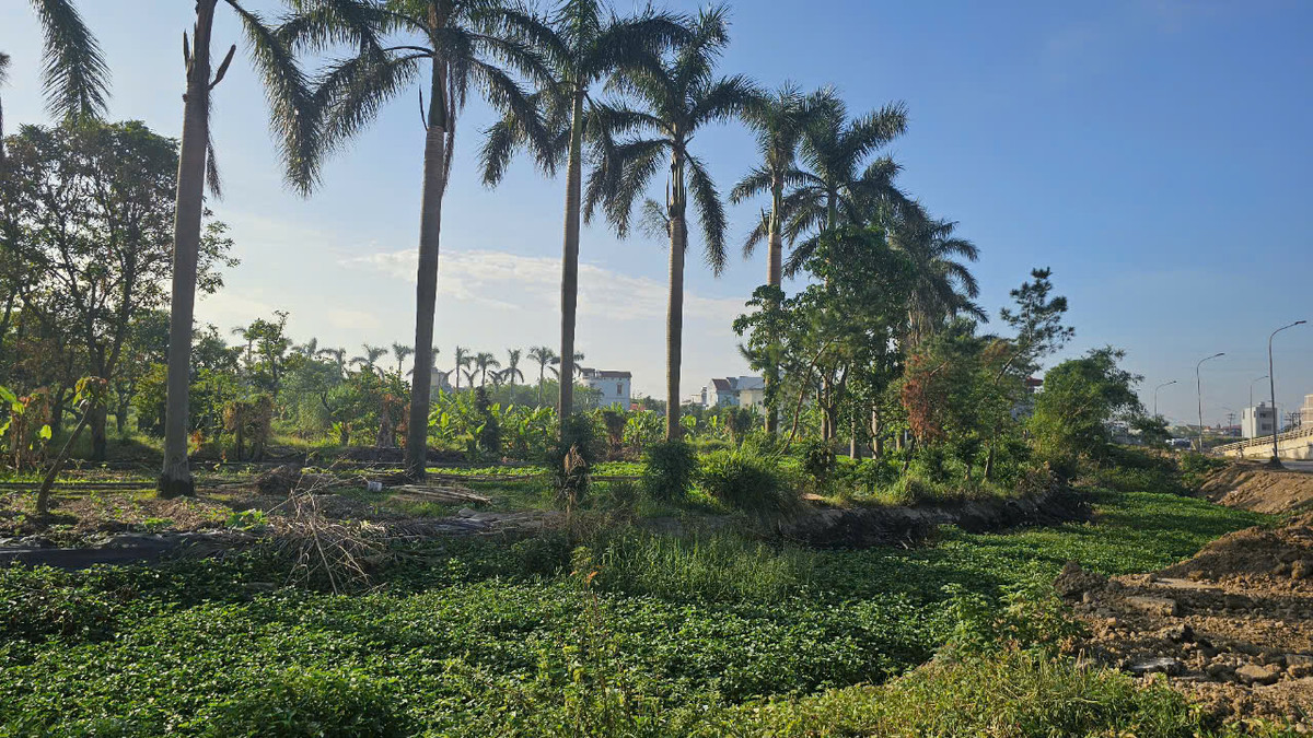 Vi sao du an khu sinh thai Xuyen A van...“dap chieu”?-Hinh-3