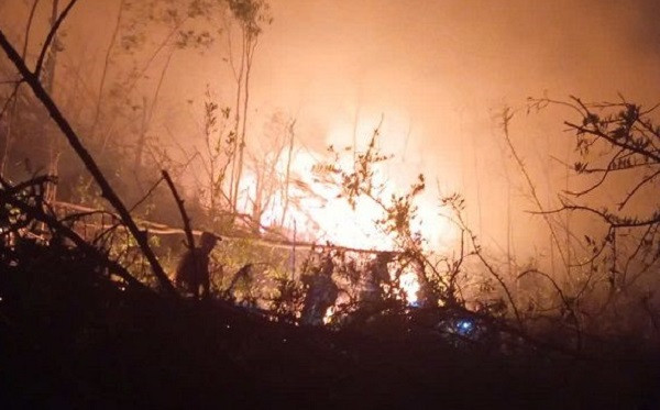 Đang xác định nguyên nhân, thống kê thiệt hại vụ cháy rừng An Phụ Dang xac dinh nguyen nhan, thong ke thiet hai vu chay rung An Phu