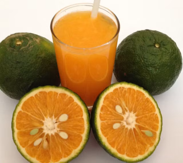 Nhung thuc pham giau canxi nen bo sung vao thuc don hang ngay-Hinh-4