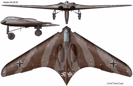 Horten Ho 229 được coi là máy bay ném bom tàng hình đầu tiên trên thế giới. Nó sở hữu thiết kế khác biệt hơn so với máy bay cùng thời. Trong chuyến bay thử nghiệm đầu tiên, Ho 229 nhanh chóng chứng tỏ khả năng ưu việt. Tuy nhiên, mẫu phi cơ này ra đời quá muộn nên không thể giúp Đức thay đổi cục diện chiến tranh. Lần cất cánh đầu tiên của nó diễn ra trong năm 1944, không lâu trước khi Đức đầu hàng.